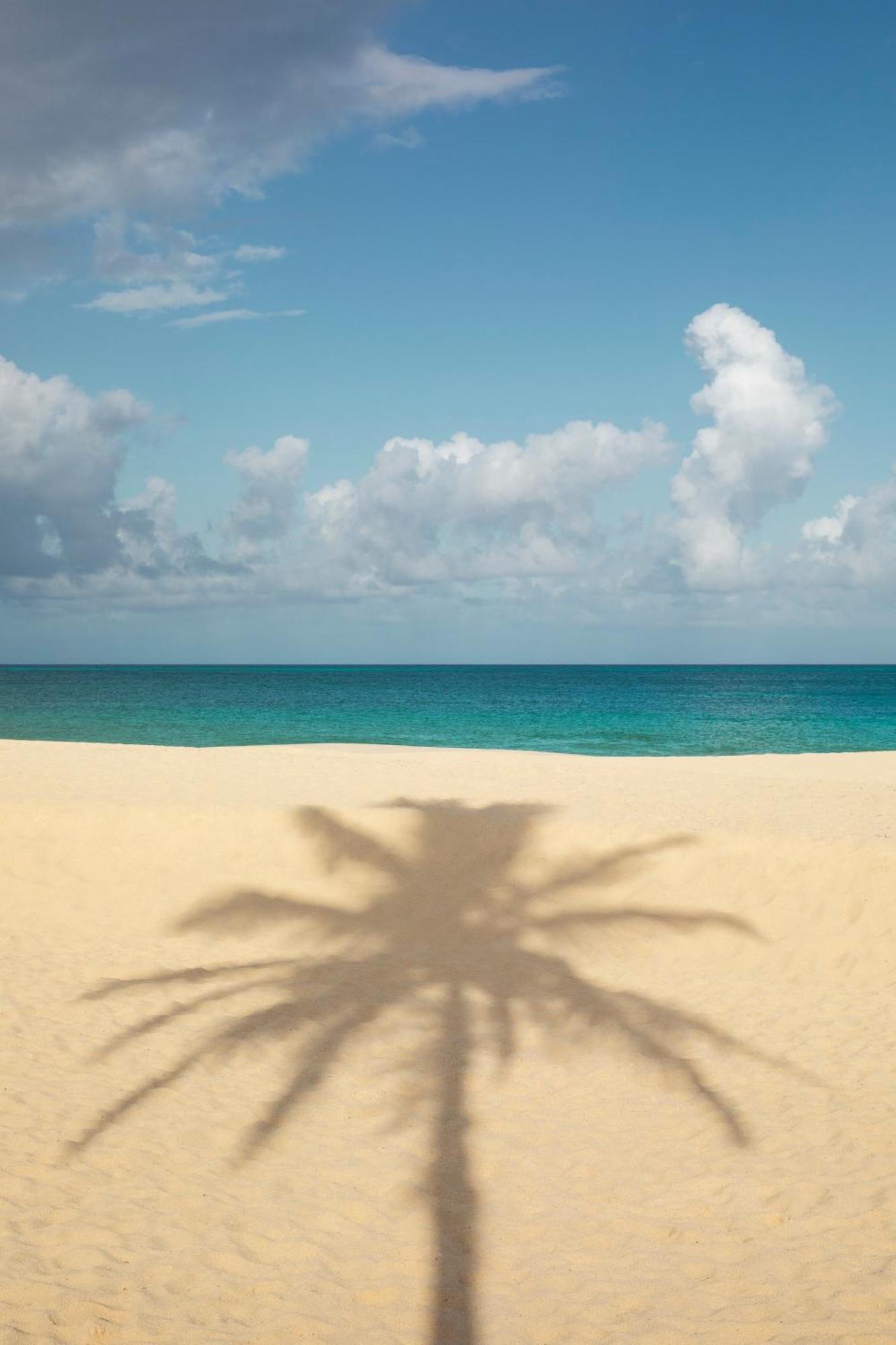 Joia Aruba By Iberostar Hotel Palm Beach Exterior foto